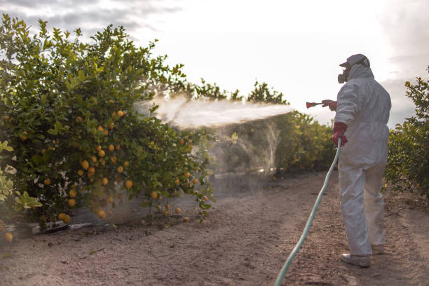  Cathcart, WA Pest Control Pros